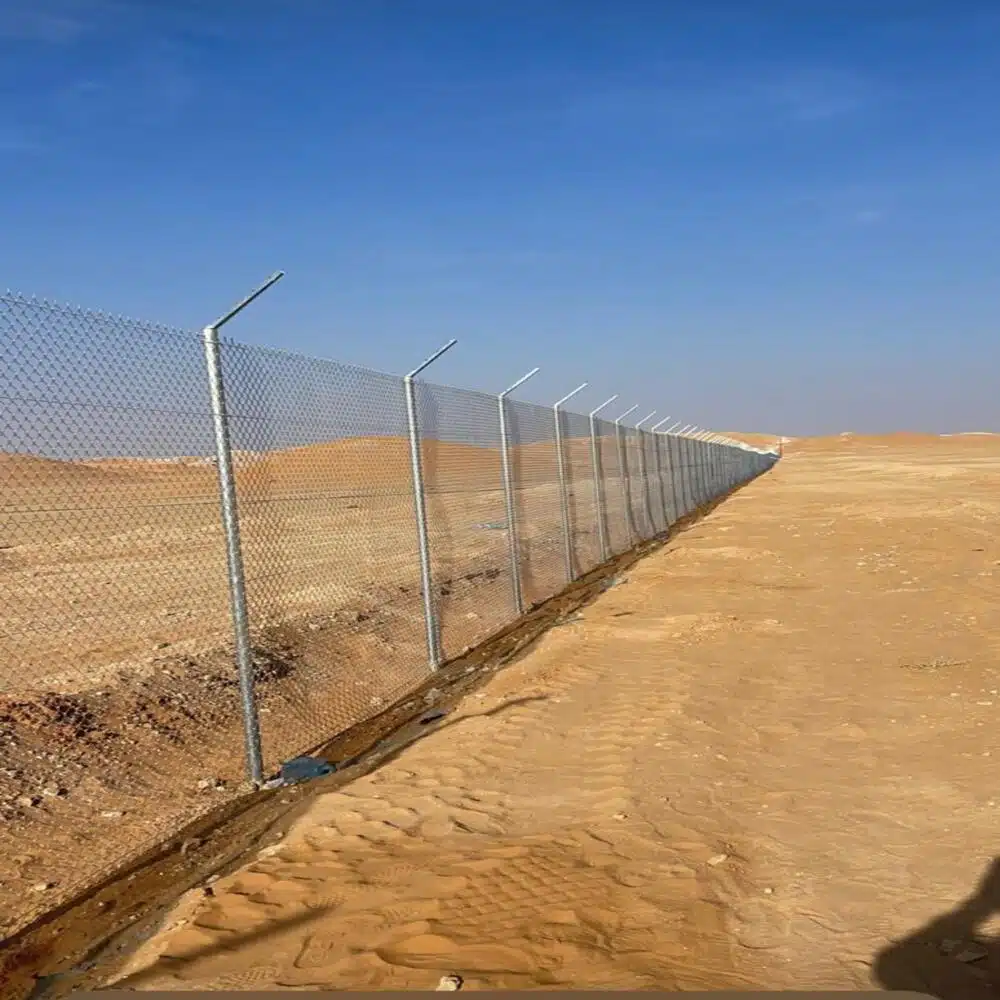 WhatsApp Image 2025-11-29 at 4.10.50 PM